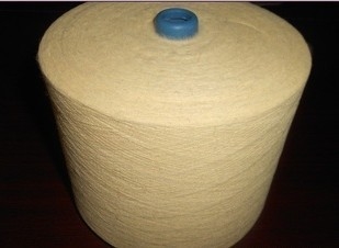 Συσκευασία χαρτοκιβωτίων νημάτων Aramid Meta για το νήμα Paramaid