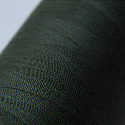 Πράσινο ράβοντας νήμα 40/3 Aramid Amy Meta για τις στολές FR